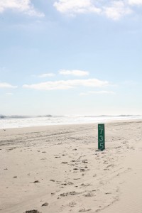 the path to wind and waves- photo Sarah Ferguson