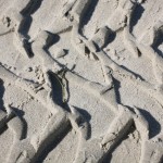figures dancing in the sand- photo Sarah Ferguson