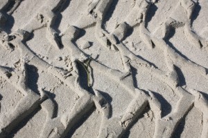 figures dancing in the sand- photo Sarah Ferguson