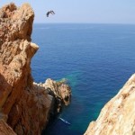 16340_206751518991_649428991_3045607_3491183_n