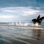 funny-awesome-gallery-115