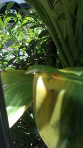 2011-09-06_12-45-44_448