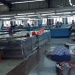 Here is a sneak peak inside the sowing and sticking section of the Ezzy Factory.