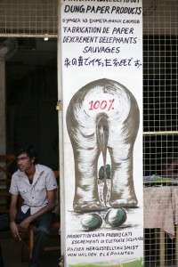 Yes, this sign says what you think it says. They make paper out of elephant dung.