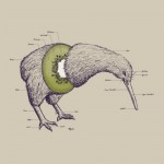 Here is a kiwi disambiguation, or is it an ambiguation?