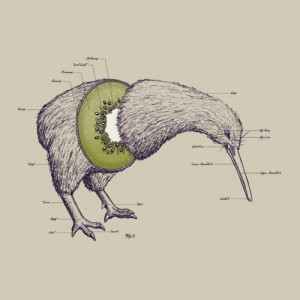 Here is a kiwi disambiguation, or is it an ambiguation?