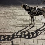 A shadow never lies about the light.