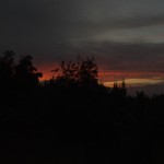 Looking out from the house at the reds sinking into blackness.