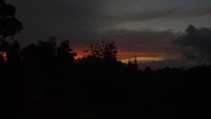 Looking out from the house at the reds sinking into blackness.