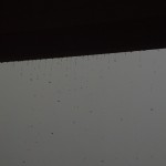 Rain drops attack!