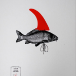 All this messing around with fins is getting confusing!