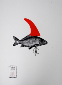 All this messing around with fins is getting confusing!