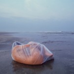 Only rarely does the sea spit back its sacrifices.