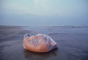Only rarely does the sea spit back its sacrifices.