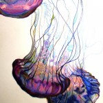 Jellyfish populations are exploding around the globe!