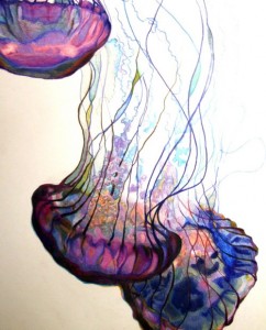 Jellyfish populations are exploding around the globe!