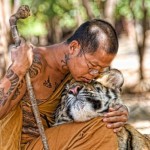 Who could equally hug a monk but a tiger? And vice versa. A match made in Shambhala.