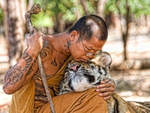 Who could equally hug a monk but a tiger? And vice versa. A match made in Shambhala.