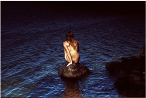 The sea is a secret that can never be told except in the texture and shapes of its surface.