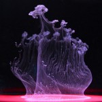Water changes everything. Everything-- ink, light, your life.