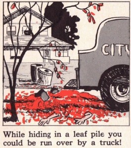 Don't hide in leaf piles; waves are better.