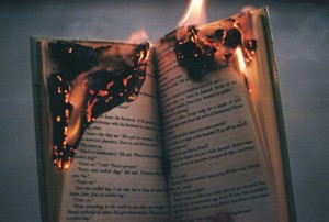 I read my book by the light of its burning pages.