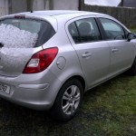 Waking up to snow was unfortunate for us as windsufers but it was the death of many a newly born lamb.