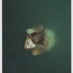 The Lady of the Lake waits, excalibur in hand, treading water, and bracing the cold.