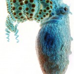 Octopi have a completely alien intelligence to our own. I love that.