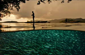 The world that lies below the surface! It is so easy to forget that the sea we see is just a surface and there is a whole universe lying below our boards. Thanks again to David Doubilet for the photo.