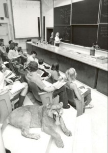 If you think you're bored, imagine how bad it is for her, the lioness!