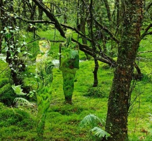 Rob Mulholland creates mirror statues. Mind trip.