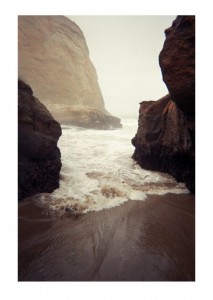 The siren beauty of the sea is her ability to adapt so many forms so quickly-- an actress surely.