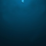 Just jump... and the sea will catch you in her bosom. It's somehow similar to the Christian notion of Faith-- and testable every day.
