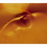 What secret pre-histories lie dormant in the amber of her eyes...