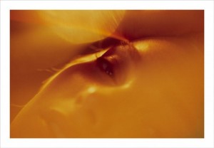 What secret pre-histories lie dormant in the amber of her eyes...
