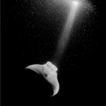 Somewhere out there is a giant manta ray devouring stars in a galaxy far far away. (note: this is a galaxy of plankton)