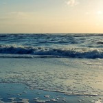 the sea foam