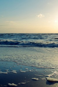 the sea foam