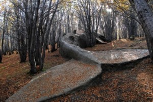 Beached whale stuck in the forest. This post is full of statues and this one by Adrian Villa Roja might just be my favorite of the bunch. Beautiful, sad, and a little creepy.