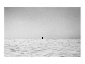 Being alone in the ocean, as the waves become the world, is the most surrounded by beauty I know.