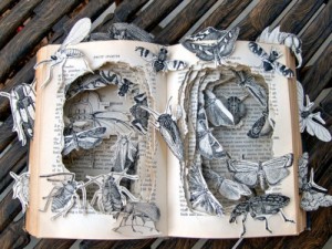 book bugs