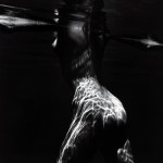 And just when you thought it was safe to surf, the creature from the deep-- hidden beneath the surface until now-- shows herself.