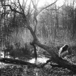 I love the subtly of nature. Mostly, you won't see much unless you Look.