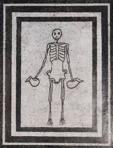 This wonderful mosaic dates back to around the first century AD and is from Pompeii.