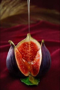 We should take fashion notes from figs: simple color palette, varied texture, varied shades, subtle patterning, interesting shapes. Colorism, shapeism, and texturism all in one.