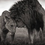 What compassion is not born in someway from tragedy?