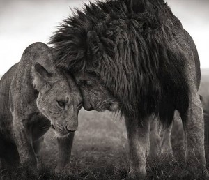What compassion is not born in someway from tragedy?