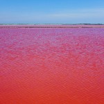 pinksaltlake01