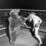 They went through much trouble to bring lions over to America to fight the bears for sport. But the lions have soft skulls, so the bears would beat them in one quick hit to the head.
